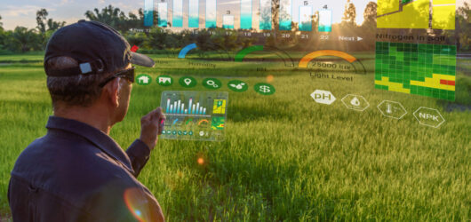 Smart farming with IoT, futuristic agriculture concept : Farmer wears VR or AR glasses while monitoring rainfall, temperature, humidity, soil pH with immersive experience on digital holographic screen